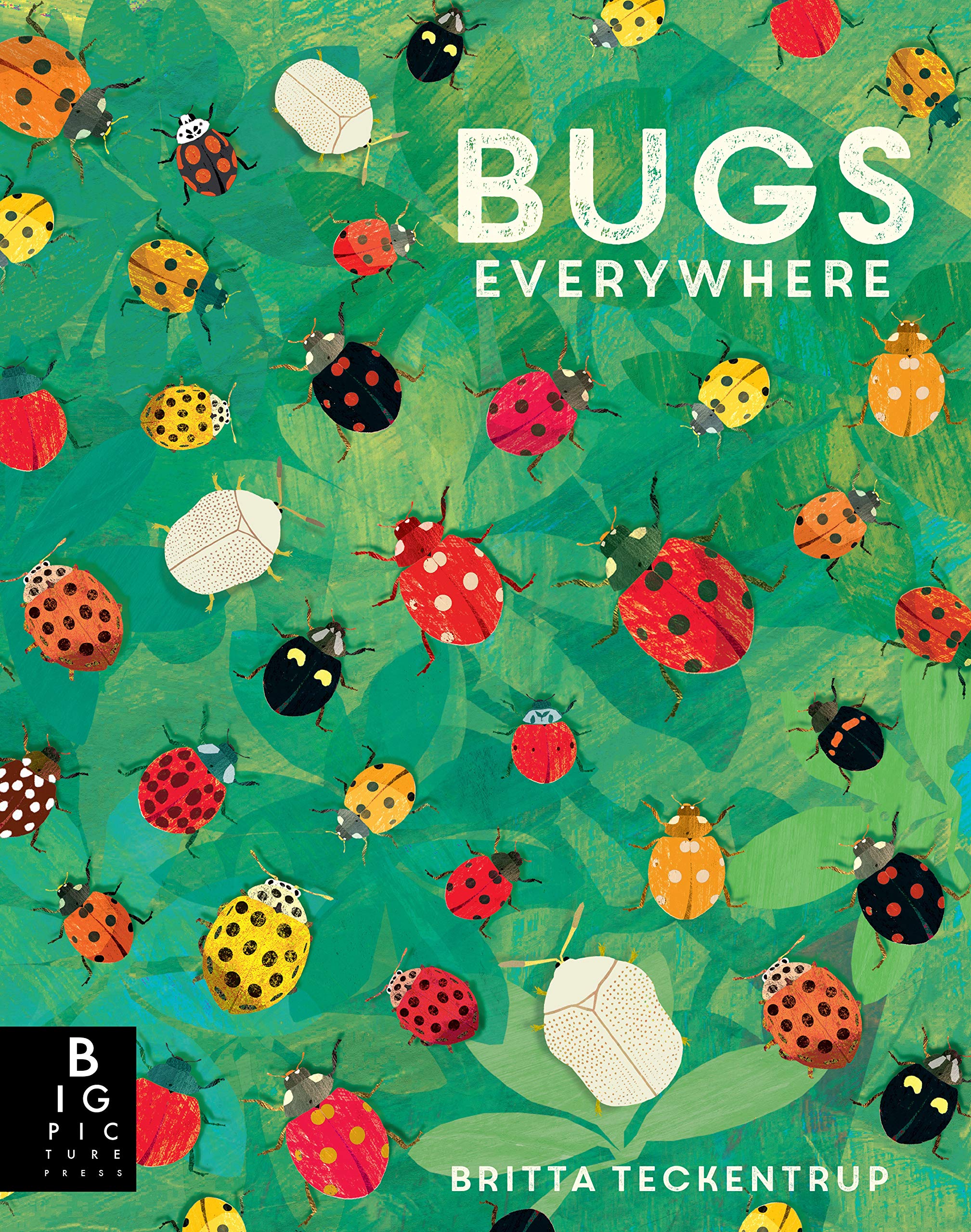13 Picture Books About Bugs The Picture Book Pages