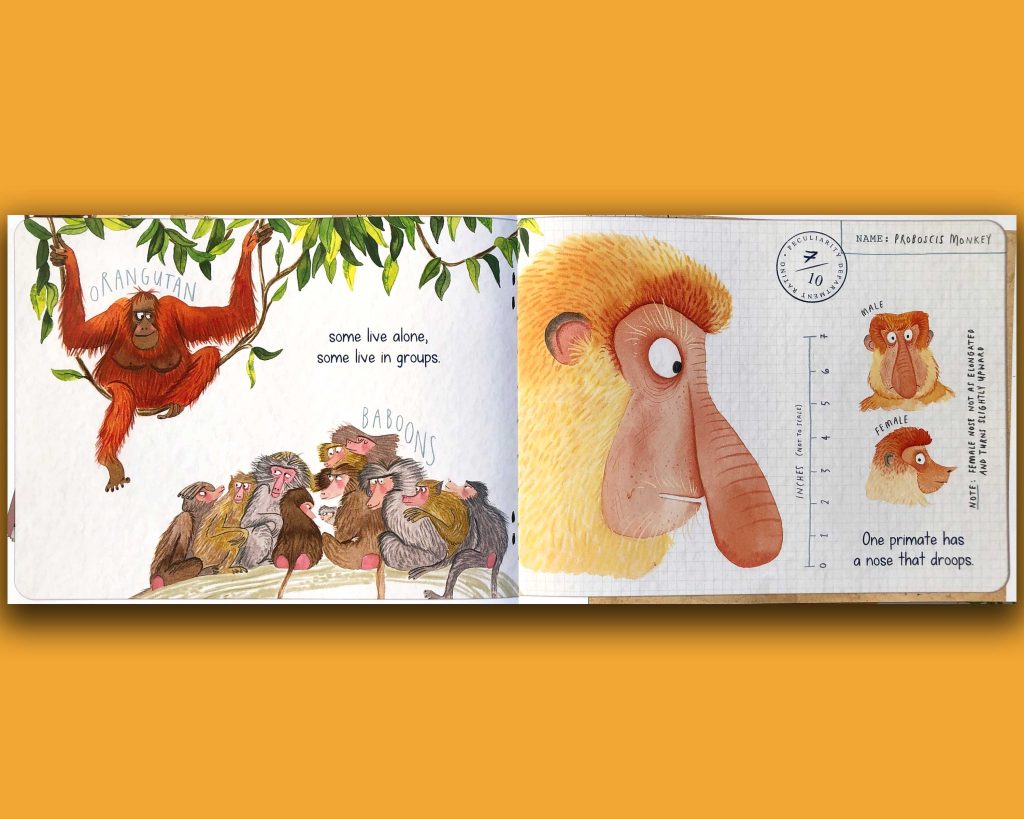 Book pages with orangutan. Swing Into An Exciting Expedition In 'Peculiar Primates'