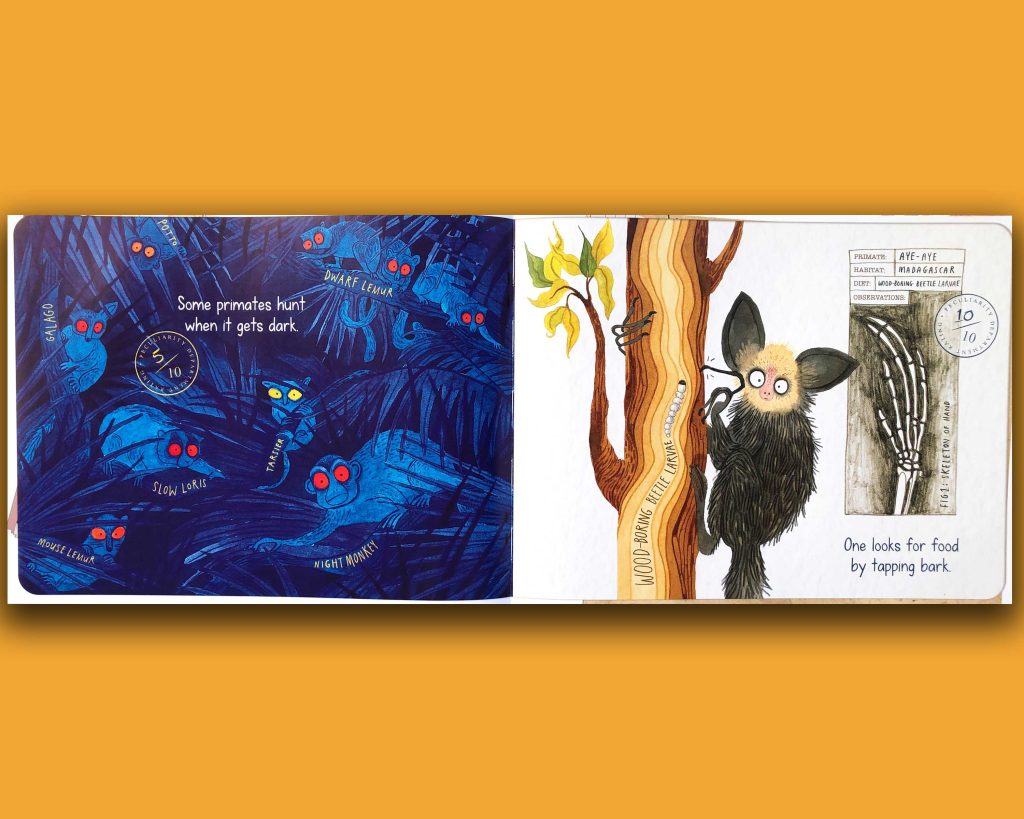 Book pages with an Aye-Aye. Swing Into An Exciting Expedition In 'Peculiar Primates'